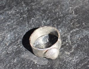 silver ring various sizes